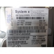 IBM 250GB 7.2K 6G SP 2.5" SATA HDD 81Y3850 81Y9722 81Y9723